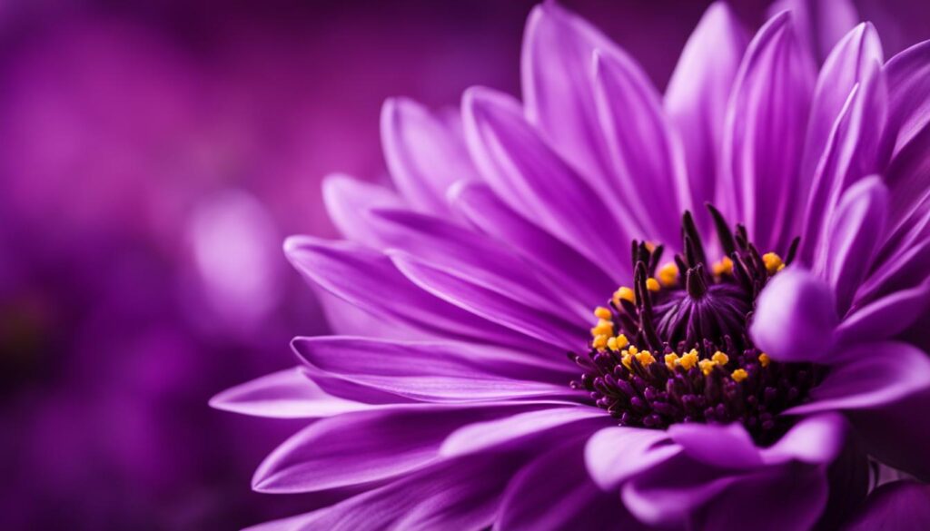 magnetische Ausstrahlung von lila Blumen